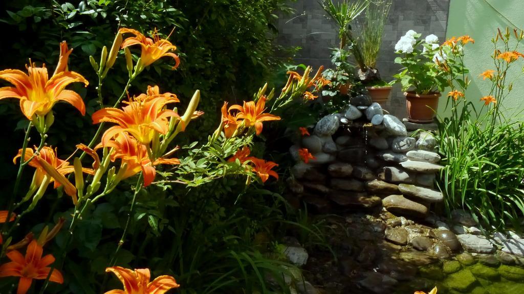 Kruja Hotel Τίρανα Εξωτερικό φωτογραφία